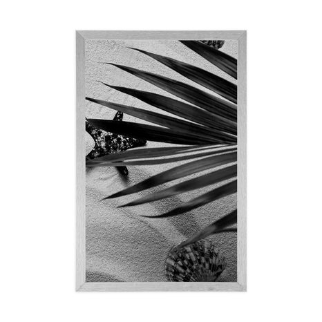 POSTER MUSCHELN UNTER PALMENBLÄTTERN IN SCHWARZ-WEISS - SCHWARZ-WEISS - POSTER