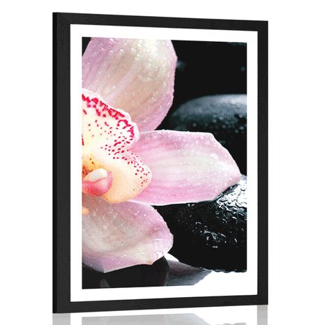 POSTER – ORCHIDEA ESOTICA - FENG SHUI - POSTER