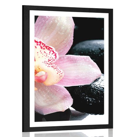 PLAKAT Z PASSE-PARTOUT EGZOTYCZNA ORCHIDEA - FENG SHUI - PLAKATY