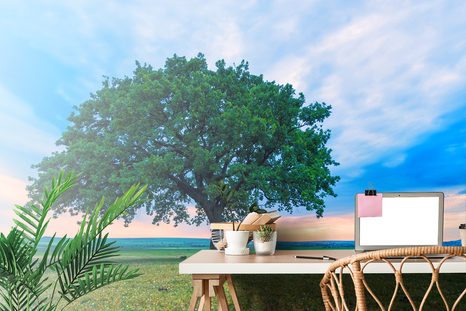 FOTOTAPETA OSAMĚLÝ DUB - TAPETY PŘÍRODA - TAPETY