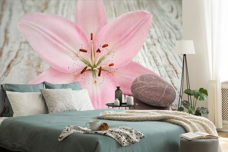 WALL MURAL PINK LILY AND ZEN STONES - WALLPAPERS FENG SHUI - WALLPAPERS