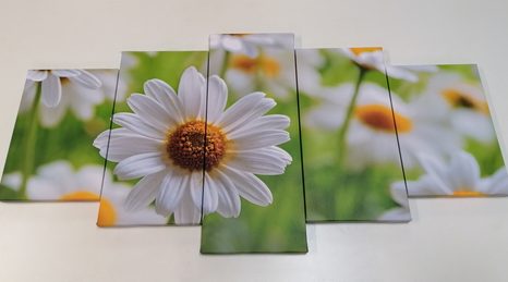 5-TEILIGES WANDBILD FRÜHLINGSWIESE VOLLER BLUMEN - BILDER BLUMEN - BILDER