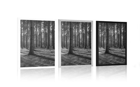 PLAKAT JUTRO U ŠUMI U CRNO-BIJELOM DIZAJNU - CRNO-BIJELE - PLAKATI
