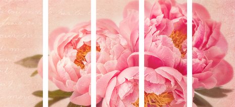 5-DÍLNÝ OBRAZ NĚŽNÁ PIVOŇKA - VINTAGE A RETRO OBRAZY - OBRAZY