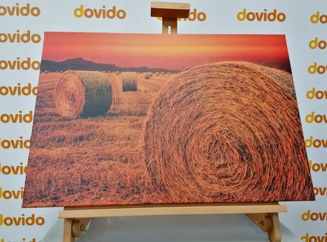 WANDBILD HEUBALLEN - BILDER VON NATUR UND LANDSCHAFT - BILDER