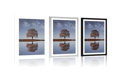 POSTER – CIELO STELLATO SOPRA UN ALBERO SOLITARIO - NATURA - POSTER