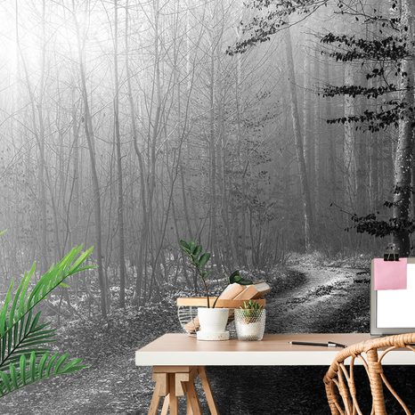 WALL MURAL BLACK AND WHITE PATH TO THE FOREST - BLACK AND WHITE WALLPAPERS - WALLPAPERS