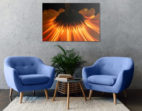 WANDBILD GERBERA AUF DUNKLEM HINTERGRUND - BILDER BLUMEN - BILDER