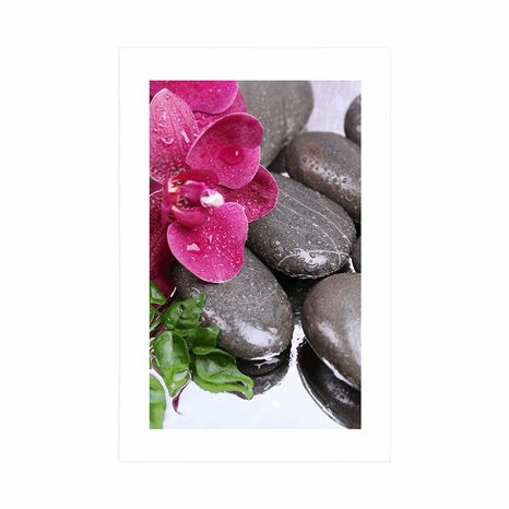 AFFICHE – ORCHIDÉE FLEURIE ET PIERRES DE BIEN-ÊTRE - FENG SHUI - AFFICHES