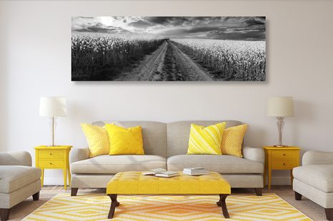 ΕΙΚΌΝΑ ΑΠΌ ΠΈΤΑΛΑ ΛΟΥΛΟΥΔΙΏΝ - ΠΊΝΑΚΕΣ ΑΣΠΡΌΜΑΥΡΕΣ - ΠΊΝΑΚΕΣ