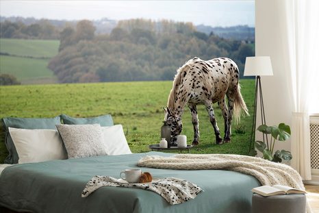 SELBSTKLEBENDE FOTOTAPETE PFERD AUF DER WIESE - SELBSTKLEBENDE TAPETEN - TAPETEN