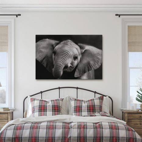 OBRAZ SLONÍ MLÁDĚ V DETAILU - OBRAZY SLONI - OBRAZY