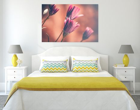 SLIKA NEŽNE ROŽNATE IVANJŠČICE - SLIKE ROŽ - SLIKE