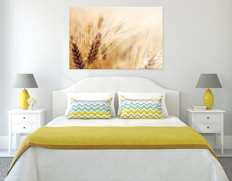 WANDBILD WEIZENFELD - BILDER VON NATUR UND LANDSCHAFT - BILDER