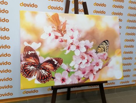 SLIKA SPOMLADANSKI CVETOVI Z EKSOTIČNIMI METULJI - SLIKE ŽIVALI - SLIKE