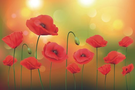 ΤΑΠΕΤΣΑΡΊΑ ΠΑΠΑΡΟΎΝΕΣ ΣΕ ΈΝΑ ΗΛΙΌΛΟΥΣΤΟ ΛΙΒΆΔΙ - ΤΑΠΕΤΣΑΡΊΑ ΜΕ ΛΟΥΛΟΎΔΙΑ - ΤΑΠΕΤΣΑΡΊΕΣ