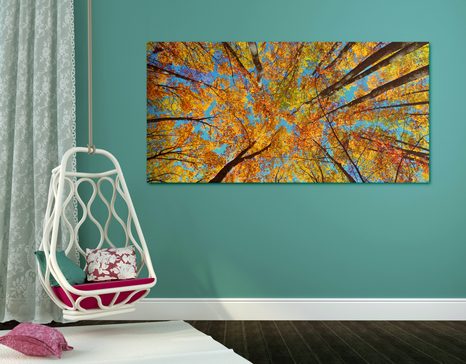 OBRAZ PODZIMNÍ KORUNY STROMŮ - OBRAZY PŘÍRODY A KRAJINY - OBRAZY