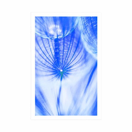 PLAKÁT PAMPELIŠKA V MODRÉM PROVEDENÍ - KVĚTINY - PLAKÁTY