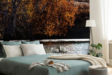 SAMOLEPÍCÍ FOTOTAPETA ODRAZ LISTÍ V JEZEŘE - SAMOLEPÍCÍ TAPETY - TAPETY