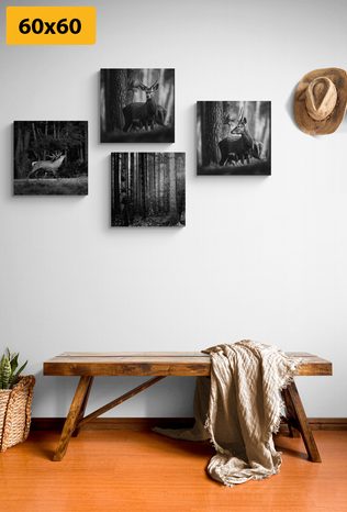 SET OBRAZŮ LESNÍ ZVÍŘATA V ČERNOBÍLÉM PROVEDENÍ - SESTAVY OBRAZŮ - OBRAZY