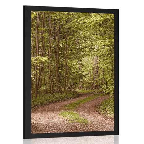 FRAMED POSTER GREEN FOREST - NATURE - POSTERS