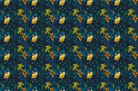 TAPETA KRÁSY PODMOŘSKÉHO SVĚTA - TAPETY PŘÍRODA - TAPETY