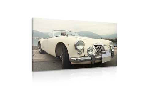 TABLOU VETERAN ALB DE LUX - TABLOURI CU MAȘINI - TABLOURI