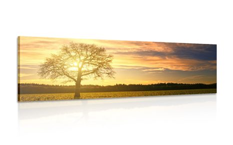 CANVAS PRINT LONELY TREE - PICTURES OF NATURE AND LANDSCAPE - PICTURES