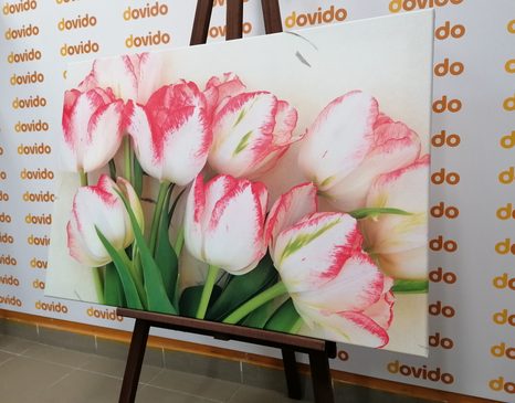STAMPA SU TELA – TULIPANI PRIMAVERILI - QUADRI DI FIORI - STAMPE E QUADRI