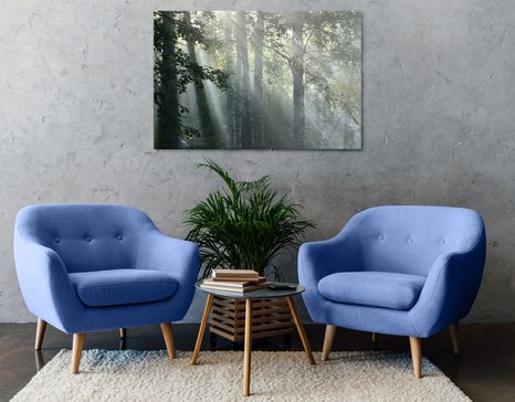 SLIKA SONČNI ŽARKI V MEGLENEM GOZDU - SLIKE NARAVE IN POKRAJINE - SLIKE