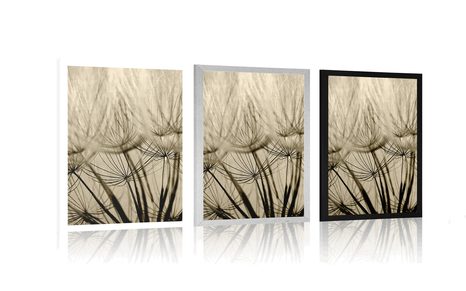 POSZTER PITYPANG MAGOK SZÉPIA KIVITELBEN - FEKETE-FEHÉR - POSZTEREK