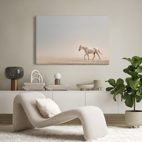 OBRAZ BÍLÝ KŮŇ V POUŠTI - OBRAZY KONĚ - OBRAZY
