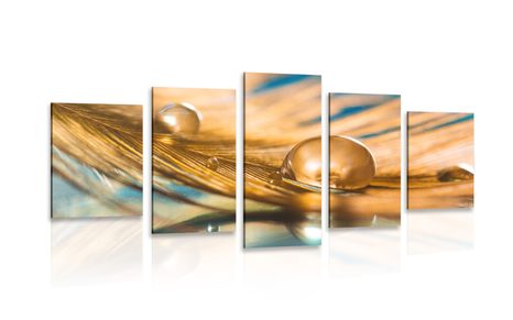 5-PIECE CANVAS PRINT DROP OF WATER ON A GOLD FEATHER - STILL LIFE PICTURES - PICTURES