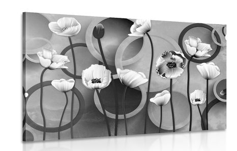 CANVAS PRINT POPPIES ON AN ABSTRACT BACKGROUND IN BLACK AND WHITE - BLACK AND WHITE PICTURES - PICTURES