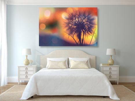 КАРТИНА НА ПЛАТНО – СИЯЕЩО ГЛУХАРЧЕ - КАРТИНИ С ЦВЕТЯ - КАРТИНИ