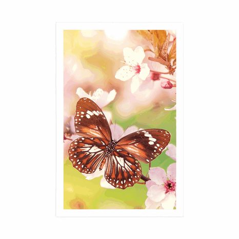 AFFICHE – FLEURS PRINTANIÈRES AVEC PAPILLONS EXOTIQUES - ANIMAUX - AFFICHES