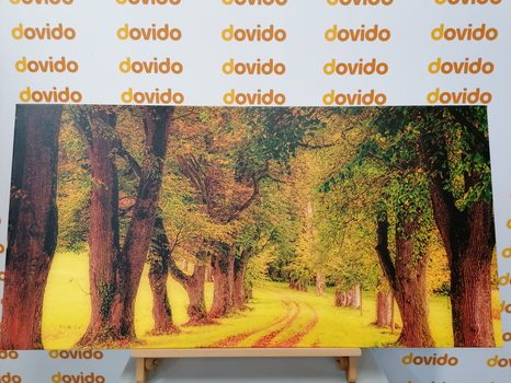 OBRAZ CHODNÍK PODZIMNÍM LESEM - OBRAZY PŘÍRODY A KRAJINY - OBRAZY