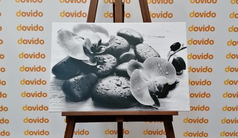 OBRAZ KRÁSNÁ SOUHRA KAMENŮ A ORCHIDEJE V ČERNOBÍLÉM PROVEDENÍ - ČERNOBÍLÉ OBRAZY - OBRAZY