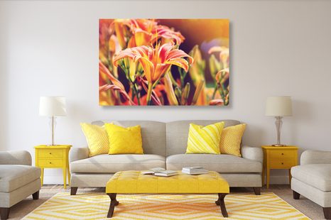 OBRAZ KRÁSNÉ KVETOUCÍ KVĚTINY V ZAHRADĚ - OBRAZY KVĚTŮ - OBRAZY