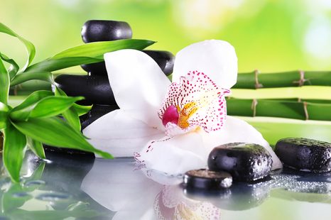 КАРТИНА НА ПЛАТНО – ЯПОНСКА ОРХИДЕЯ - ФЪН ШУЙ КАРТИНИ - КАРТИНИ