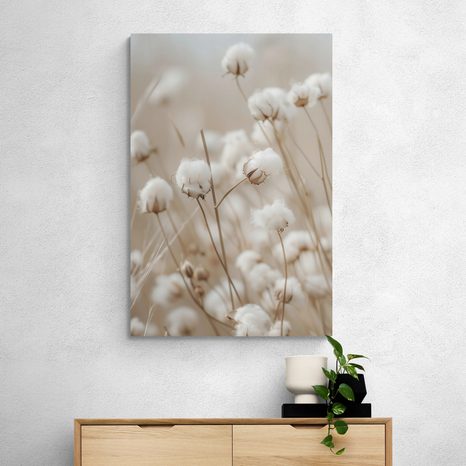 KÉP SZÁRAZ VIRÁGOK - KÉPEK FÜVEK - KÉPEK