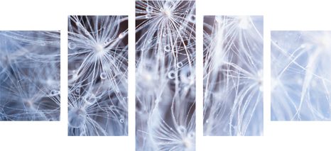 5-PIECE CANVAS PRINT MACRO DANDELION - PICTURES FLOWERS - PICTURES