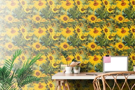 SELBSTKLEBENDE TAPETE SONNENBLUMEN IN FREIER NATUR - SELBSTKLEBENDE TAPETEN - TAPETEN