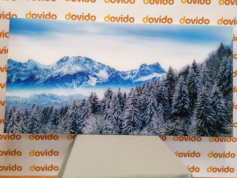 SLIKA ZASNEŽENE GORE - SLIKE NARAVE IN POKRAJINE - SLIKE