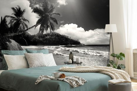 WALL MURAL BEACH ON THE ISLAND OF SEYCHELLES IN BLACK AND WHITE - BLACK AND WHITE WALLPAPERS - WALLPAPERS