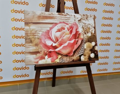STAMPA SU TELA – ROSA VINTAGE ROSA - QUADRI VINTAGE E RETRÒ - STAMPE E QUADRI
