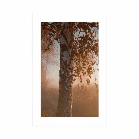 PLAKÁT S PASPARTOU MLHAVÝ PODZIMNÍ LES - PŘÍRODA - PLAKÁTY