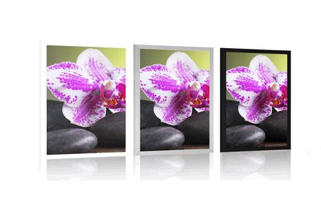 PLAKÁT ORCHIDEJ A ČERNÉ KAMENY - FENG SHUI - PLAKÁTY