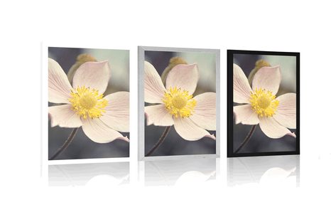 PLAKAT NJEŽNOST CVIJETA - CVIJEĆE - PLAKATI