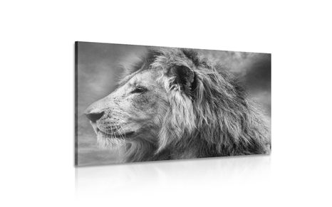 КАРТИНА НА ПЛАТНО – АФРИКАНСКИ ЛЪВ В ЧЕРНО-БЯЛ ВАРИАНТ - ЧЕРНО-БЕЛИ КАРТИНИ - КАРТИНИ